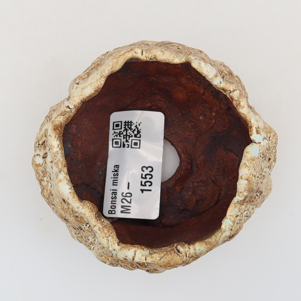 Ceramic Shell  5.5 x 5.5 x 5.5 cm, beige-brown
