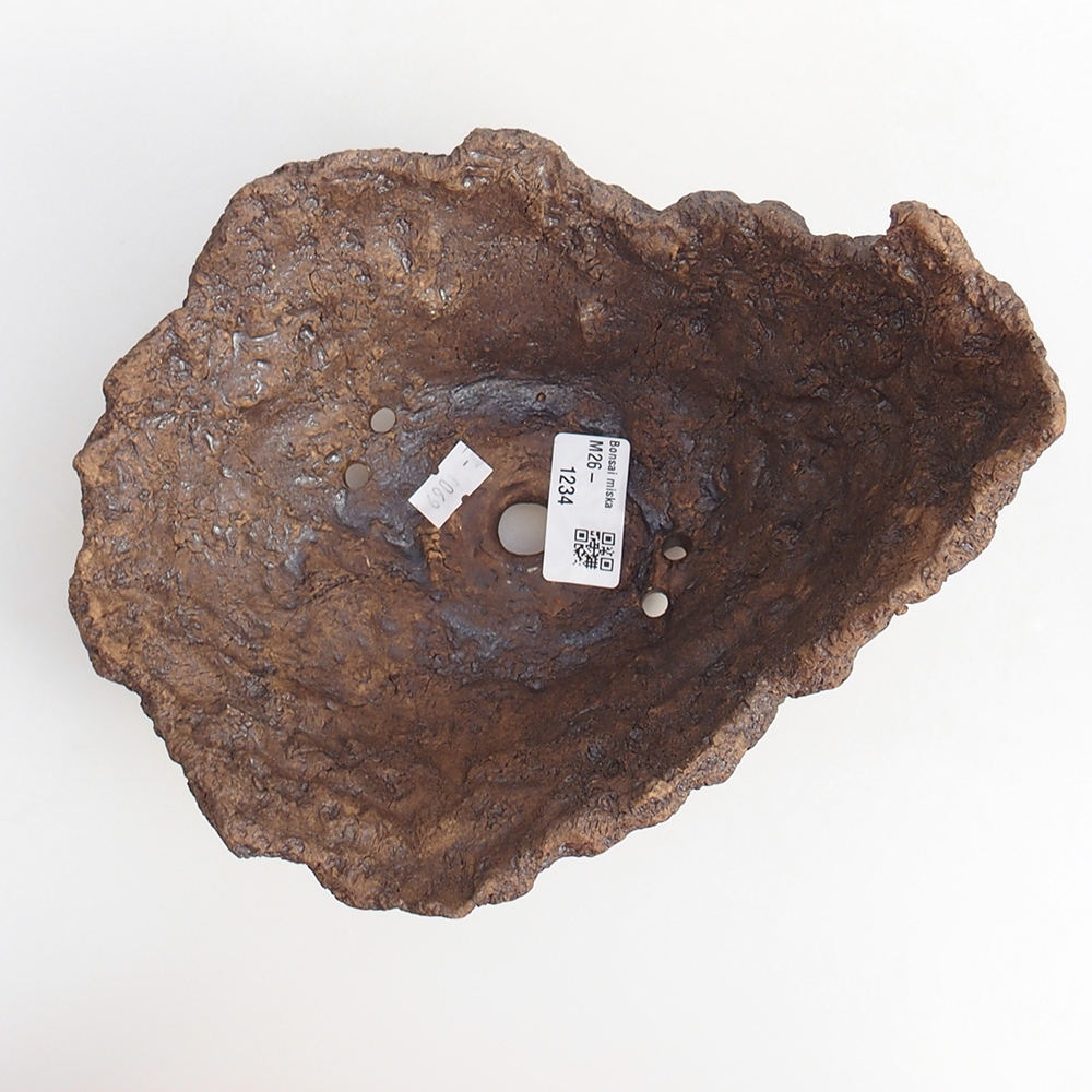 Ceramic shell 19 x 15 x 14 cm , colour brown