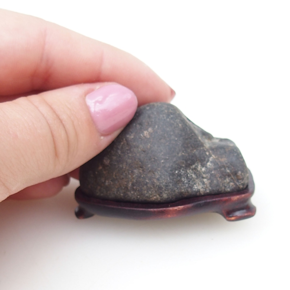 Suiseki - Stone with DAI (wooden pad)