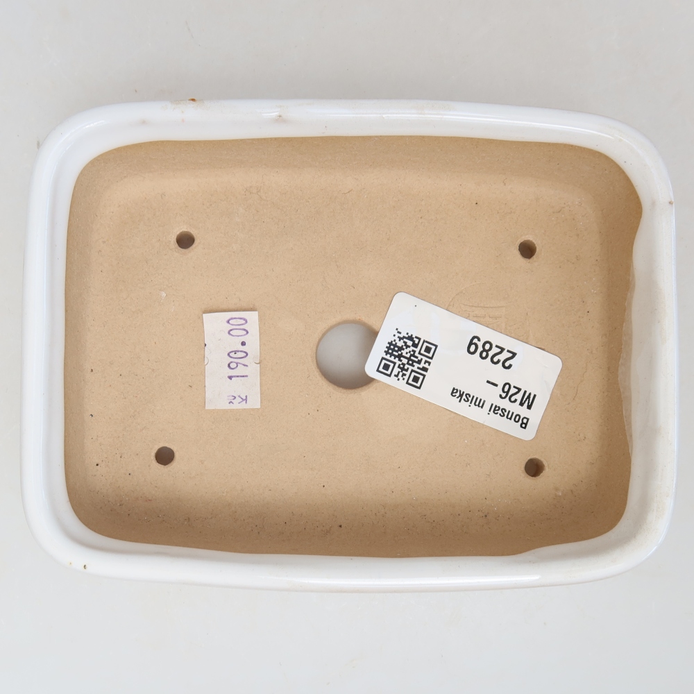Ceramic bonsai pot, 13 x 9.5 x 3.5 cm, white
