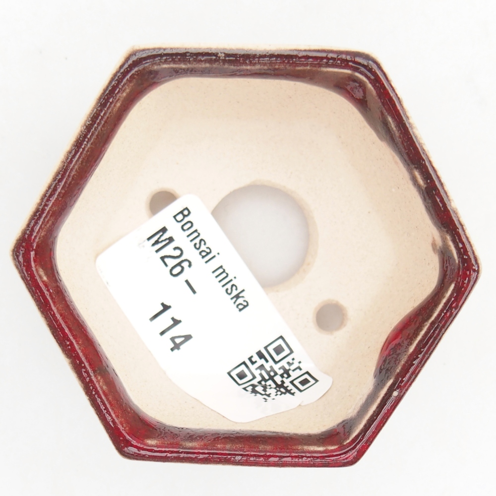 Mini bonsai bowl 6 x 5,5 x 3 cm, colour red
