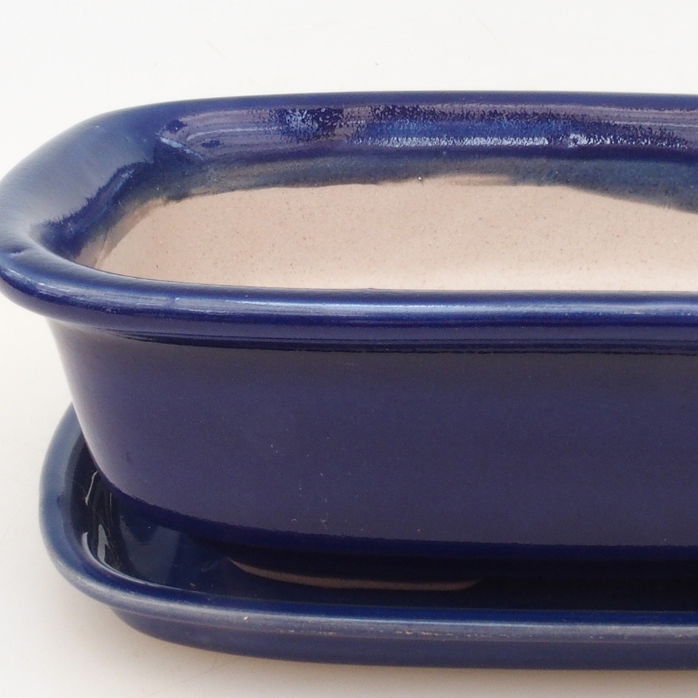 Bonsai bowl + saucer H02 - blue