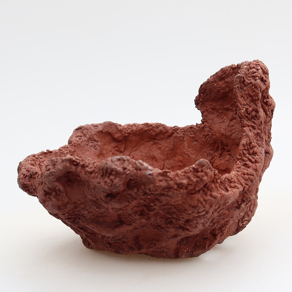 Ceramic Shell, 10 x 8 x 7 cm, brown