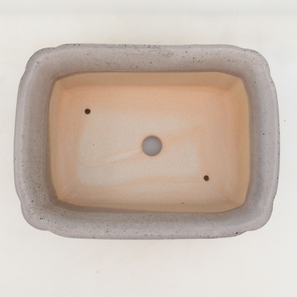 Bonsai saucer H50 - 17 x 12.5 x 5.5 cm. - beige