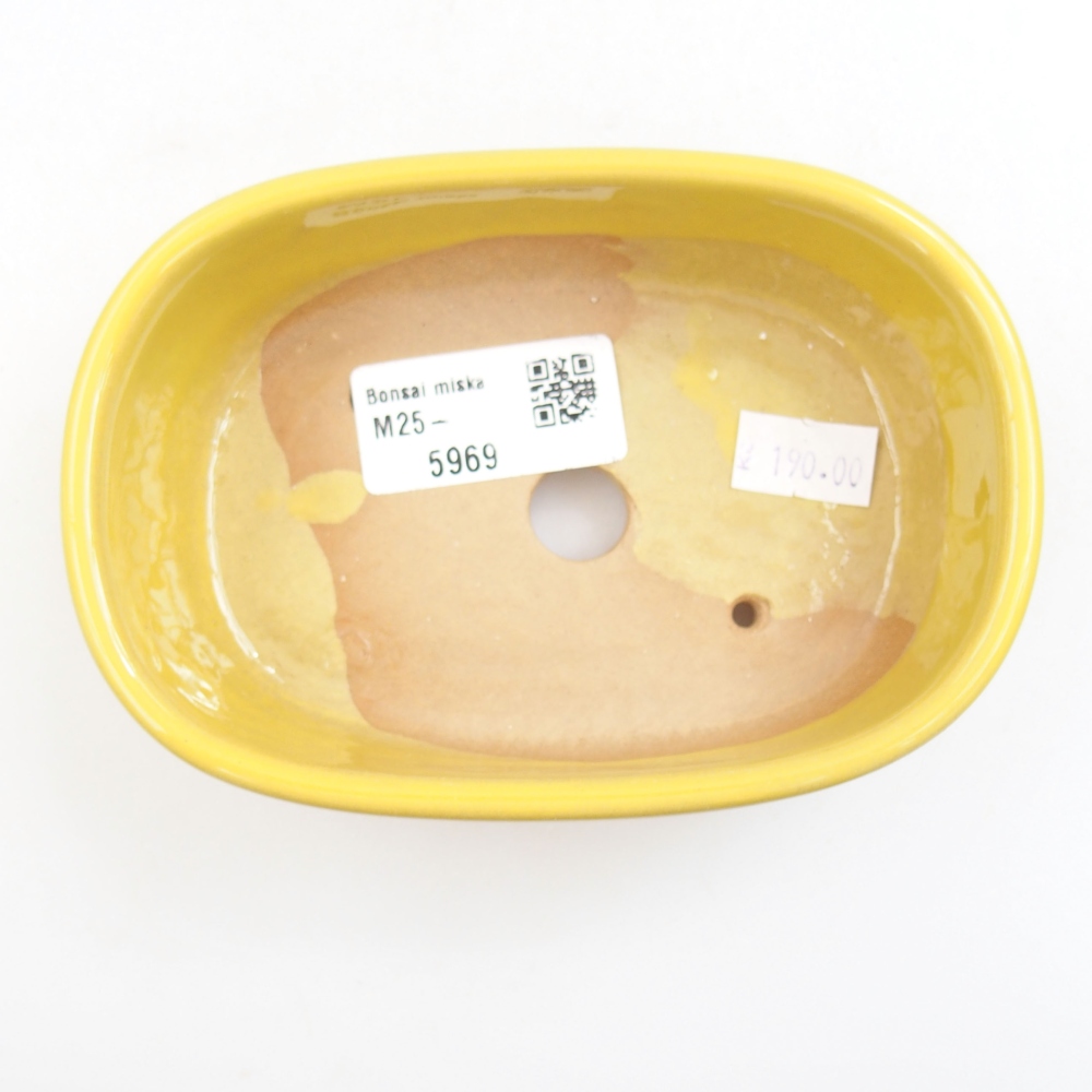 Ceramic bonsai bowl 13 x 9 x 4 cm, color yellow
