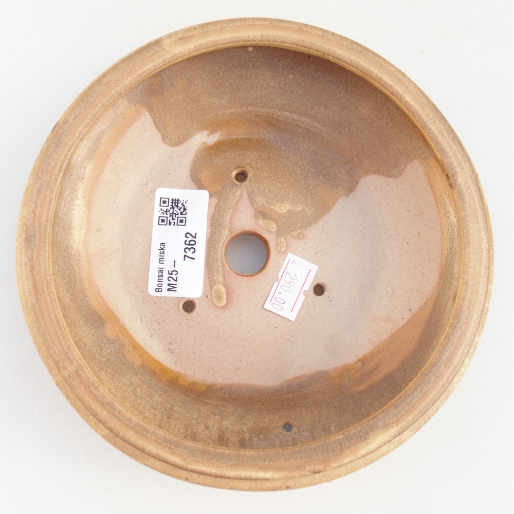 Ceramic bonsai bowl 16 x 16 x 5 cm, colour beige