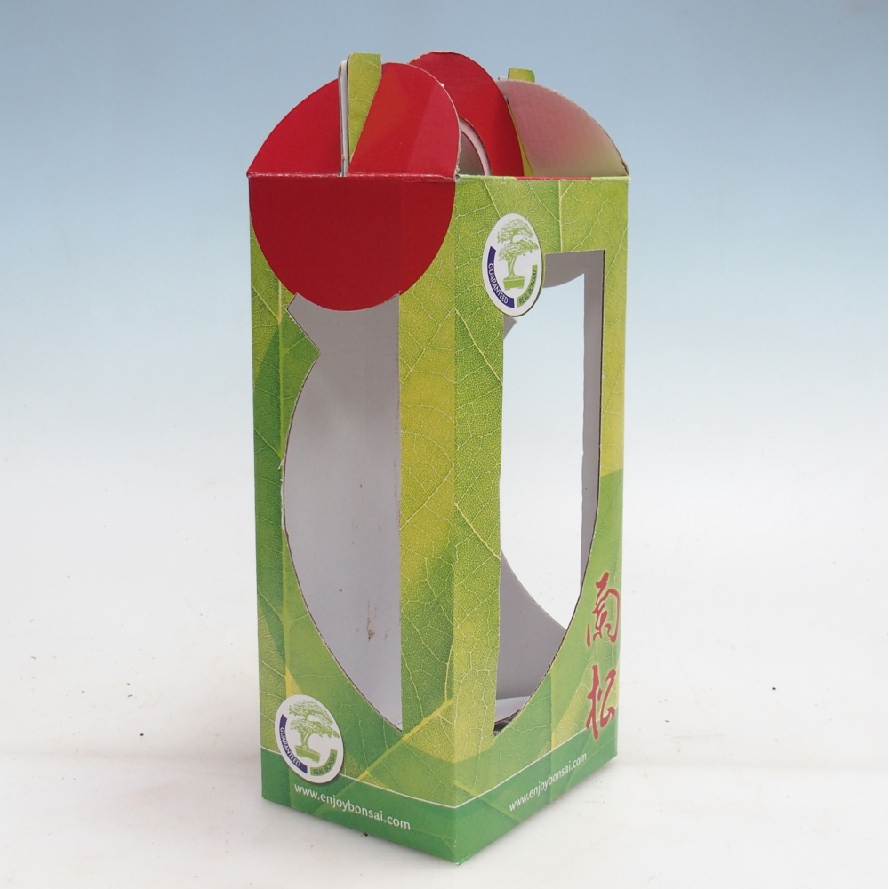 Gift bonsai box - paper