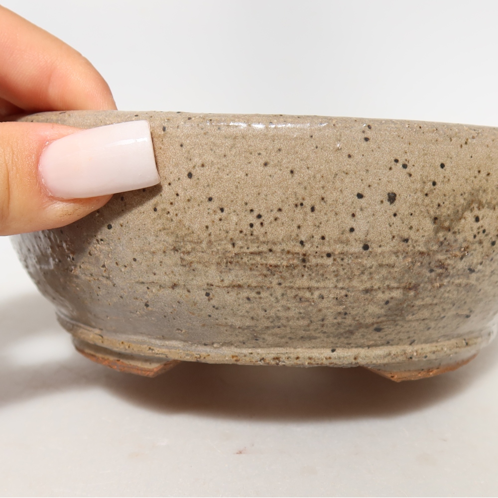 Ceramic bonsai pot, 14 x 14 x 5.5 cm, beige