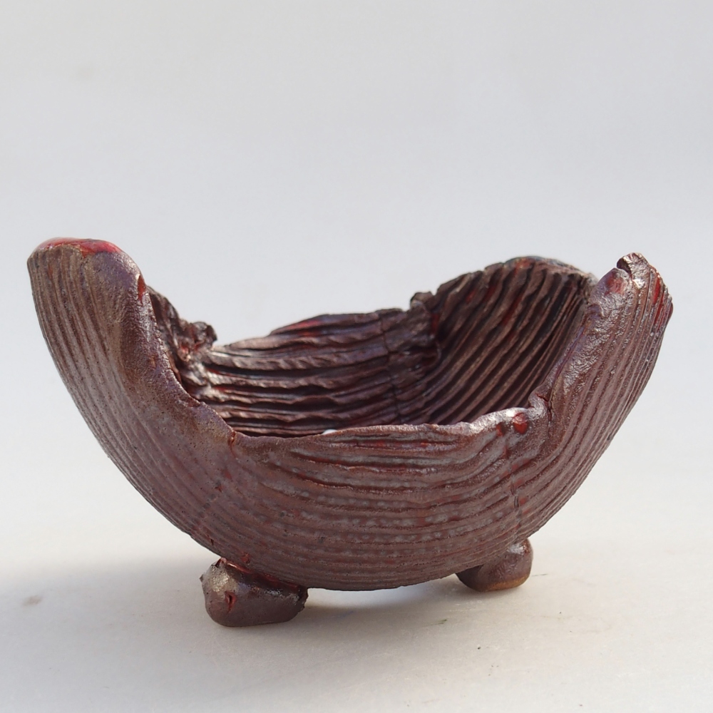 Ceramic Shell 10 x 10 x 6 cm , colour brown