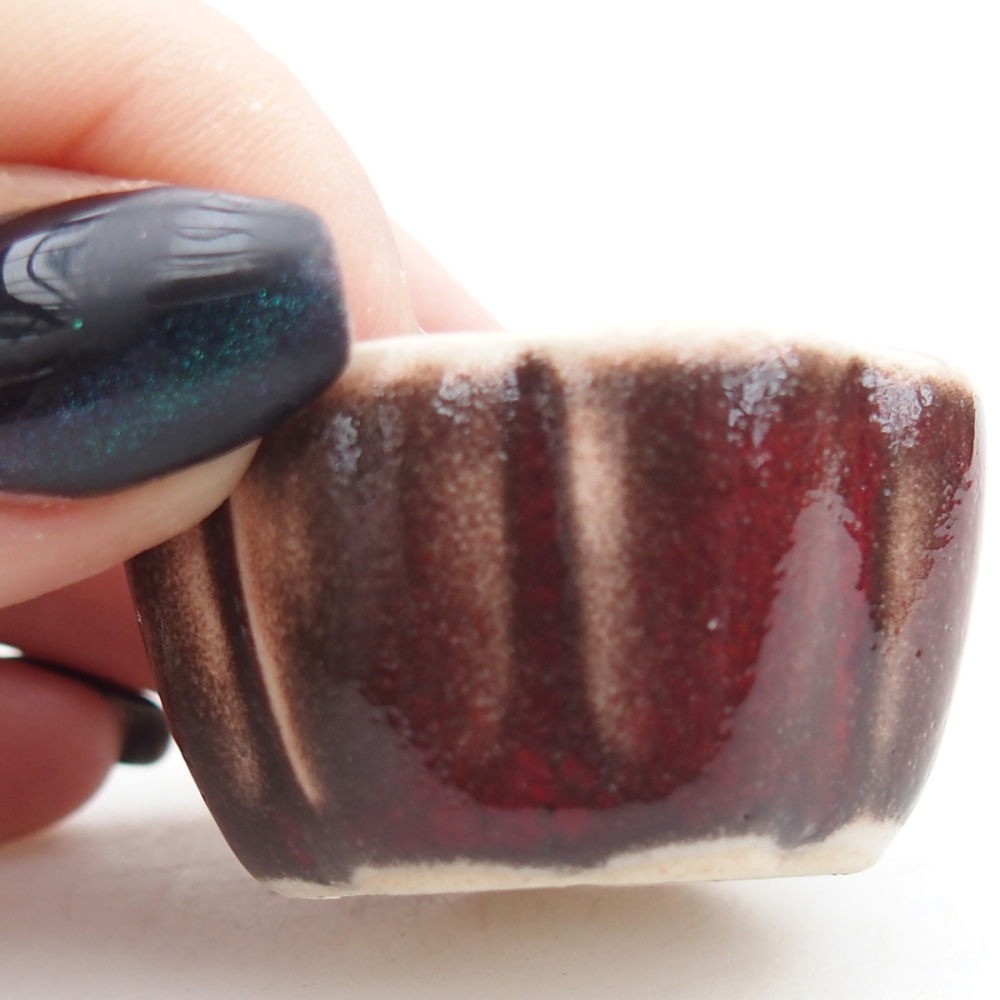 Mini bonsai bowl 4 x 4 x 2 cm, colour red