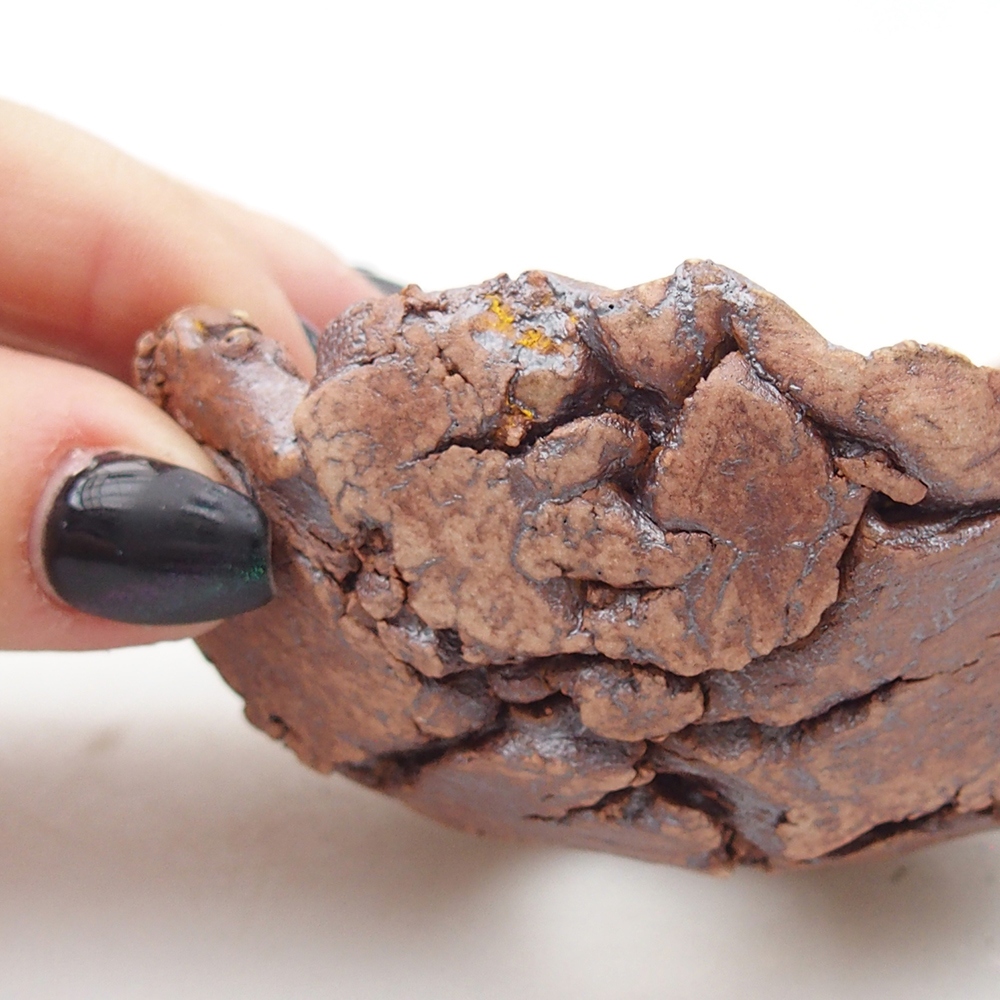 Ceramic Shell 9 x 8,5 x 4,5 cm , colour brown