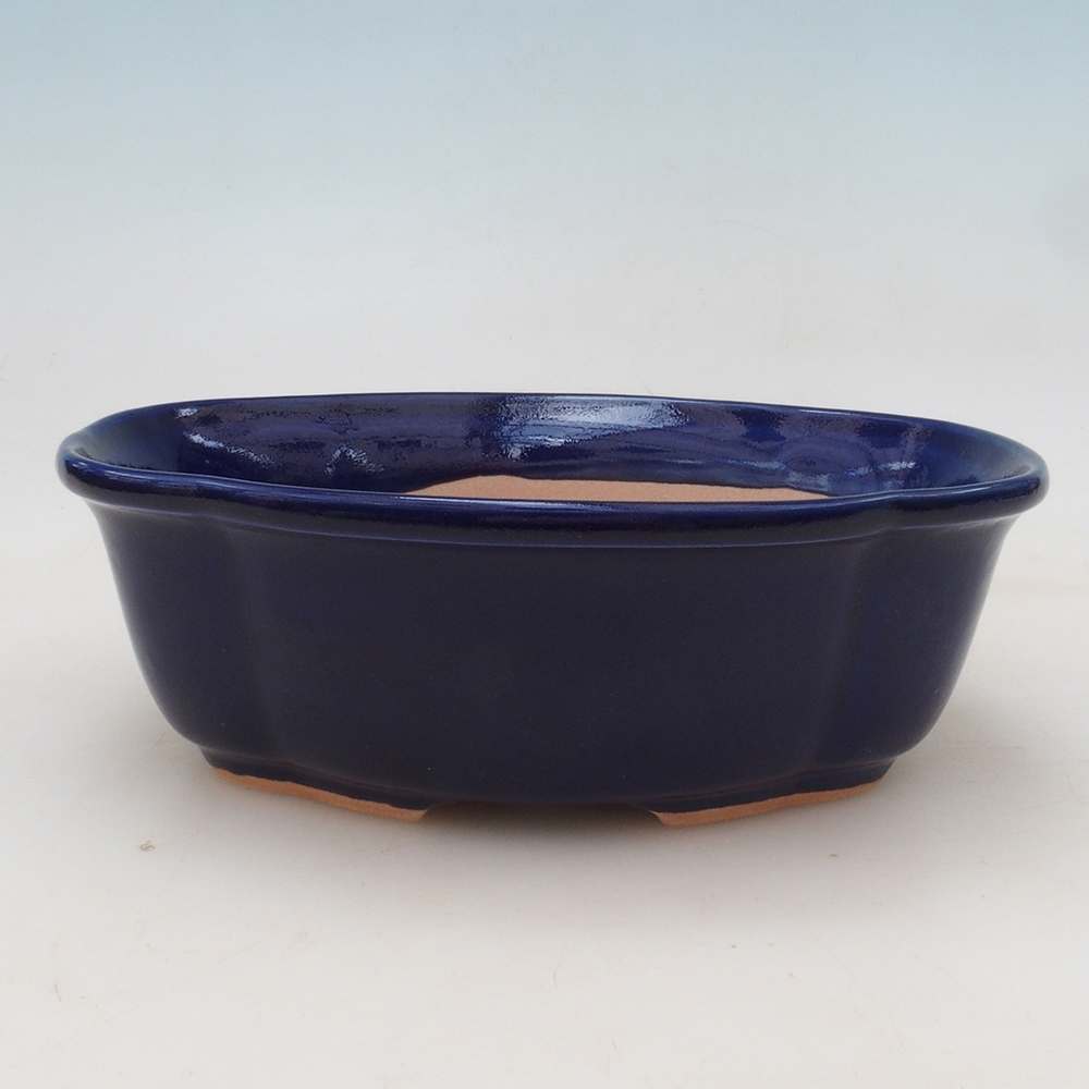 Bonsai bowl + saucer H75 - blue