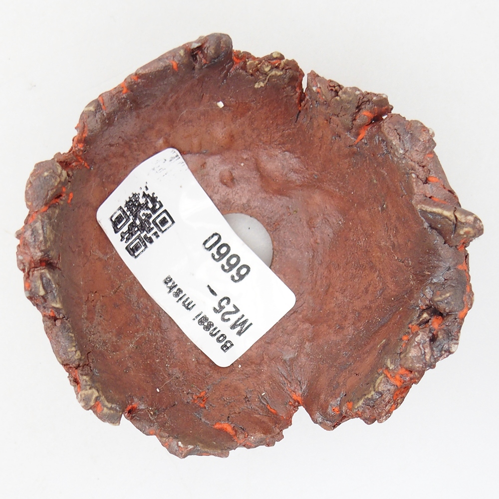Ceramic Shell 7 x 7 x 4 cm , colour orange