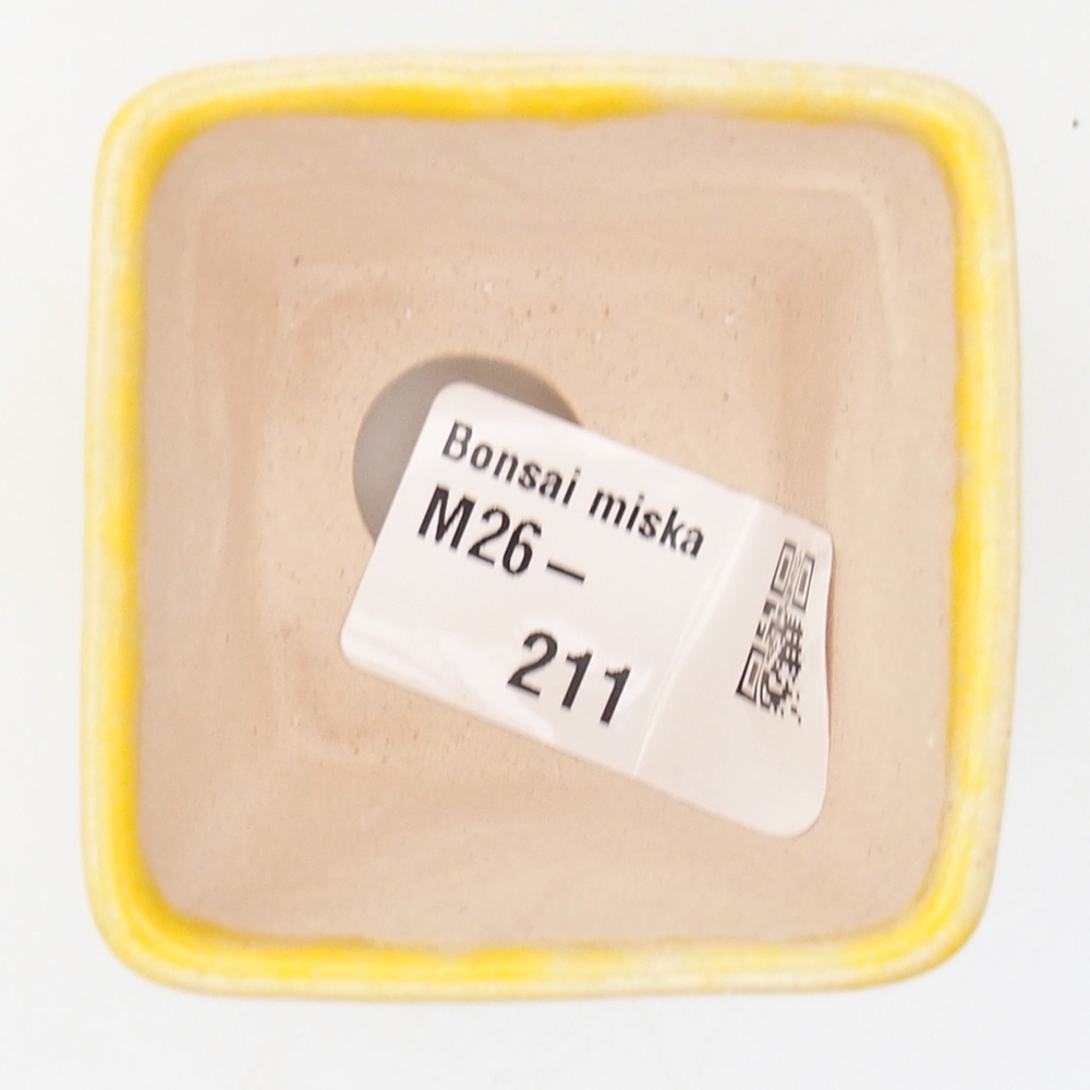 Mini bonsai bowl 5 x 5 x 5 cm, yellow