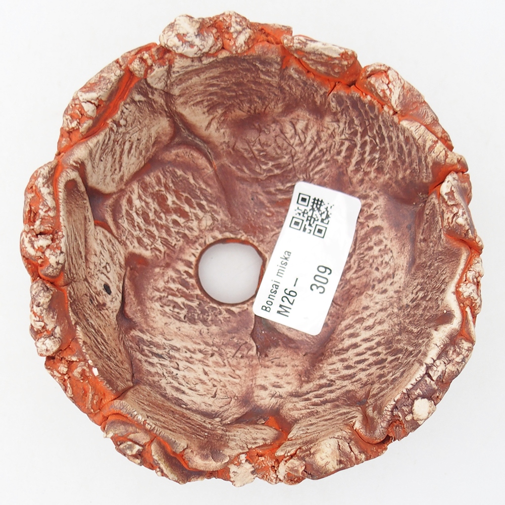 Ceramic Shell 11 x 11 x 6 cm , colour orange