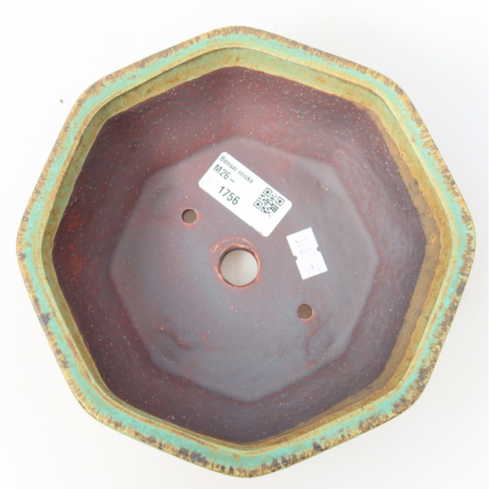 Ceramic bonsai pot, 17 x 16 x 6.5 cm, green