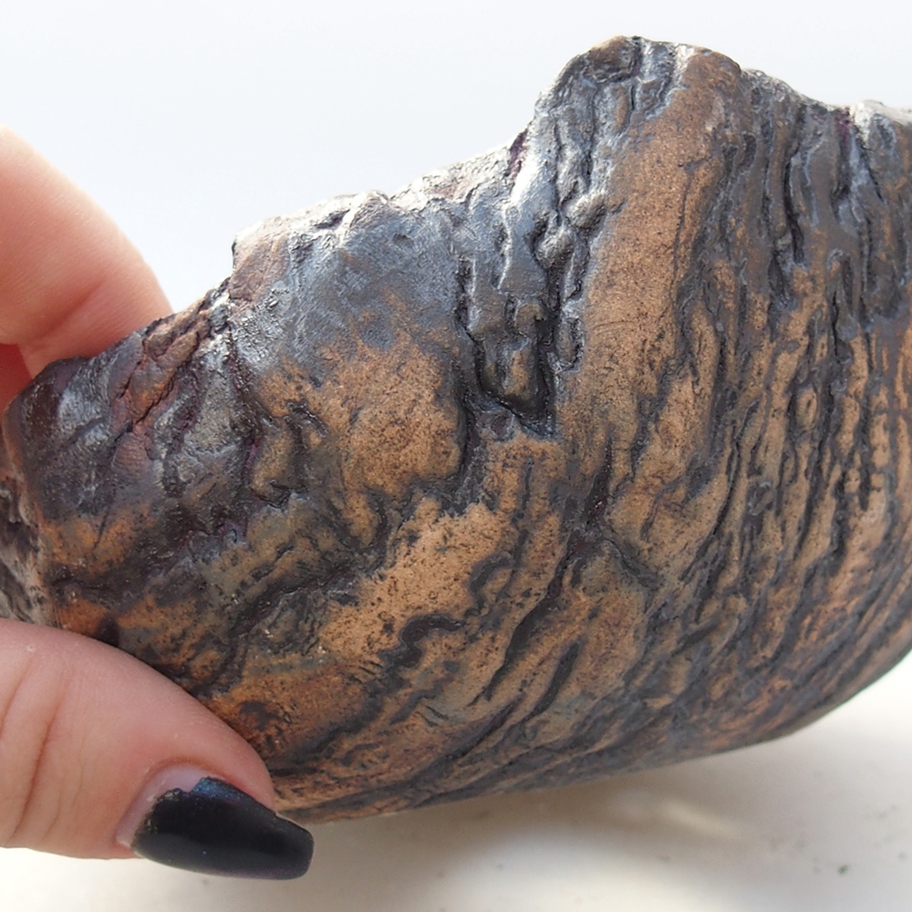 Ceramic Shell 13,5 x 12,5 x 7,5 cm , colour brown