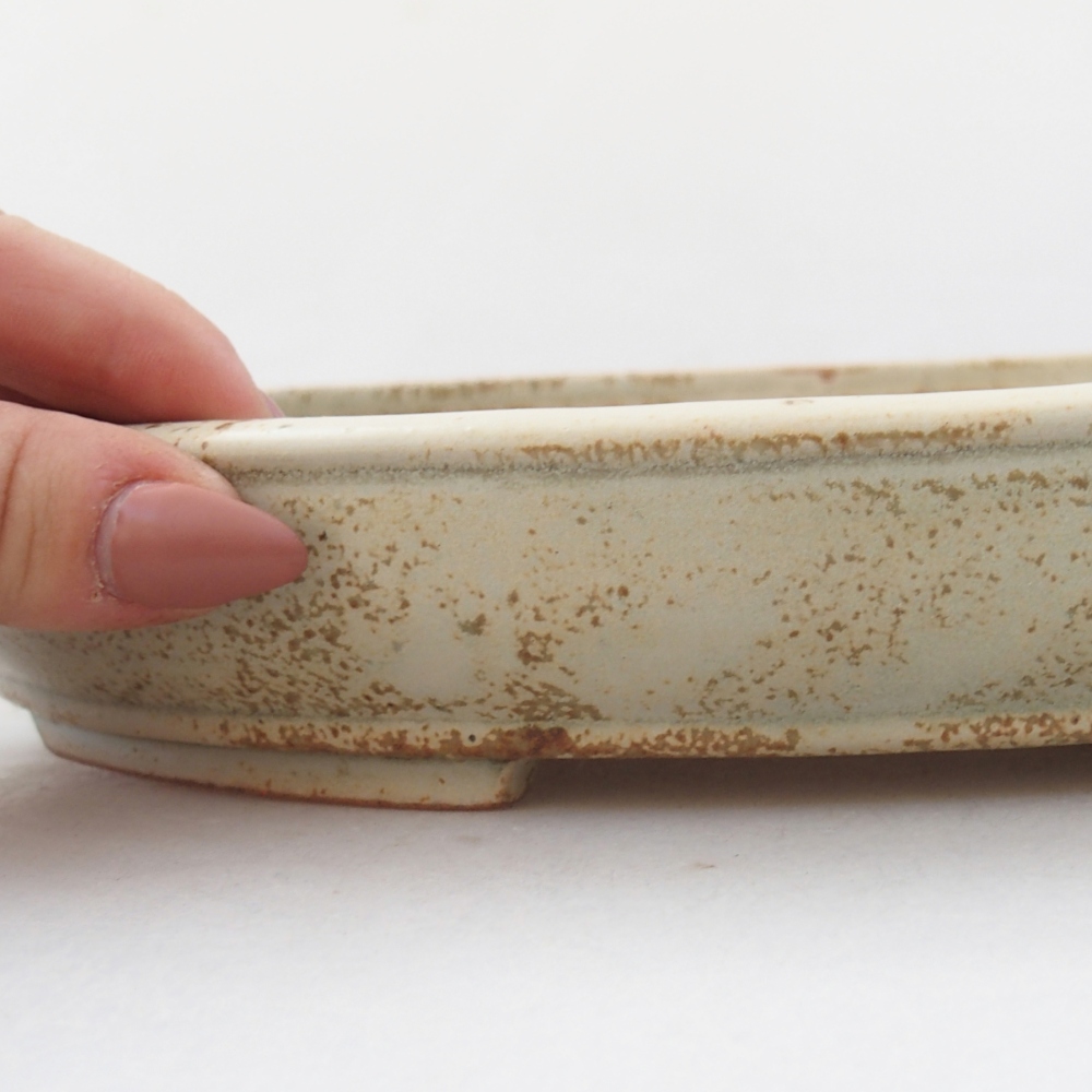 Ceramic bonsai bowl 24 x 19,5 x 4 cm, colour beige
