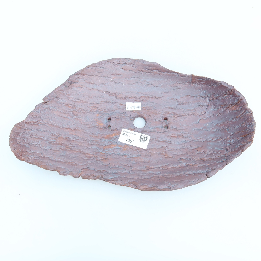 Ceramic Shell  30.5 x 19 x 6 cm, brown