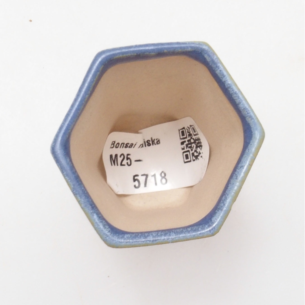 Mini bonsai bowl 4,5 x 4,5 x 6,5 cm, color blue
