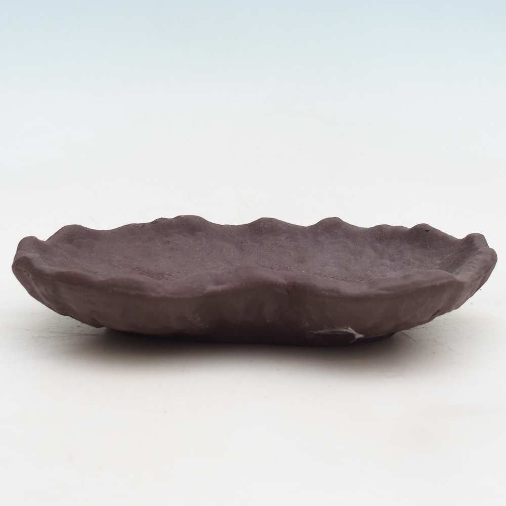 Ceramic Shell 17 x 12 x 3 cm , colour brown