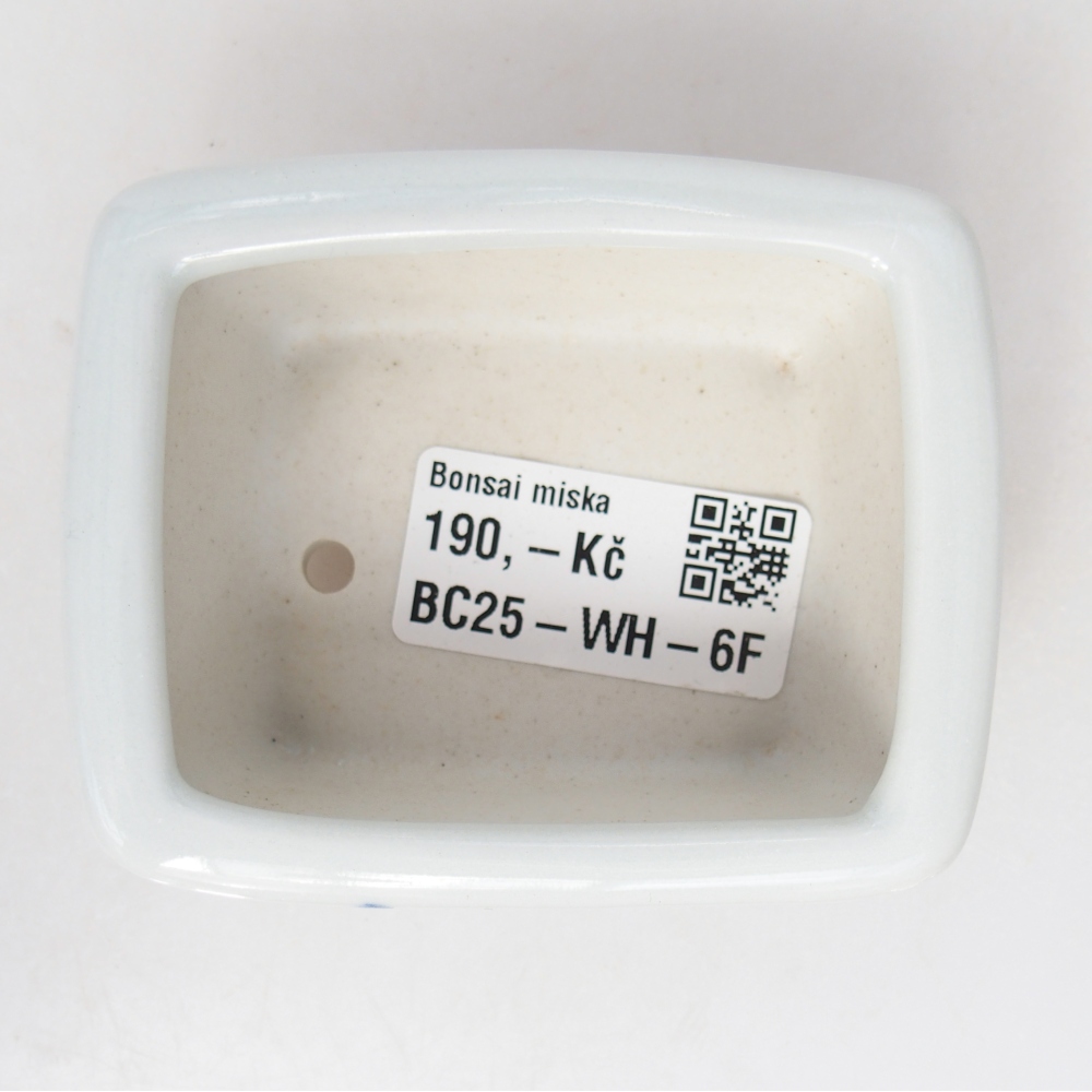 Mini bonsai bowl 8 x 6,5 x 3,5 cm, white