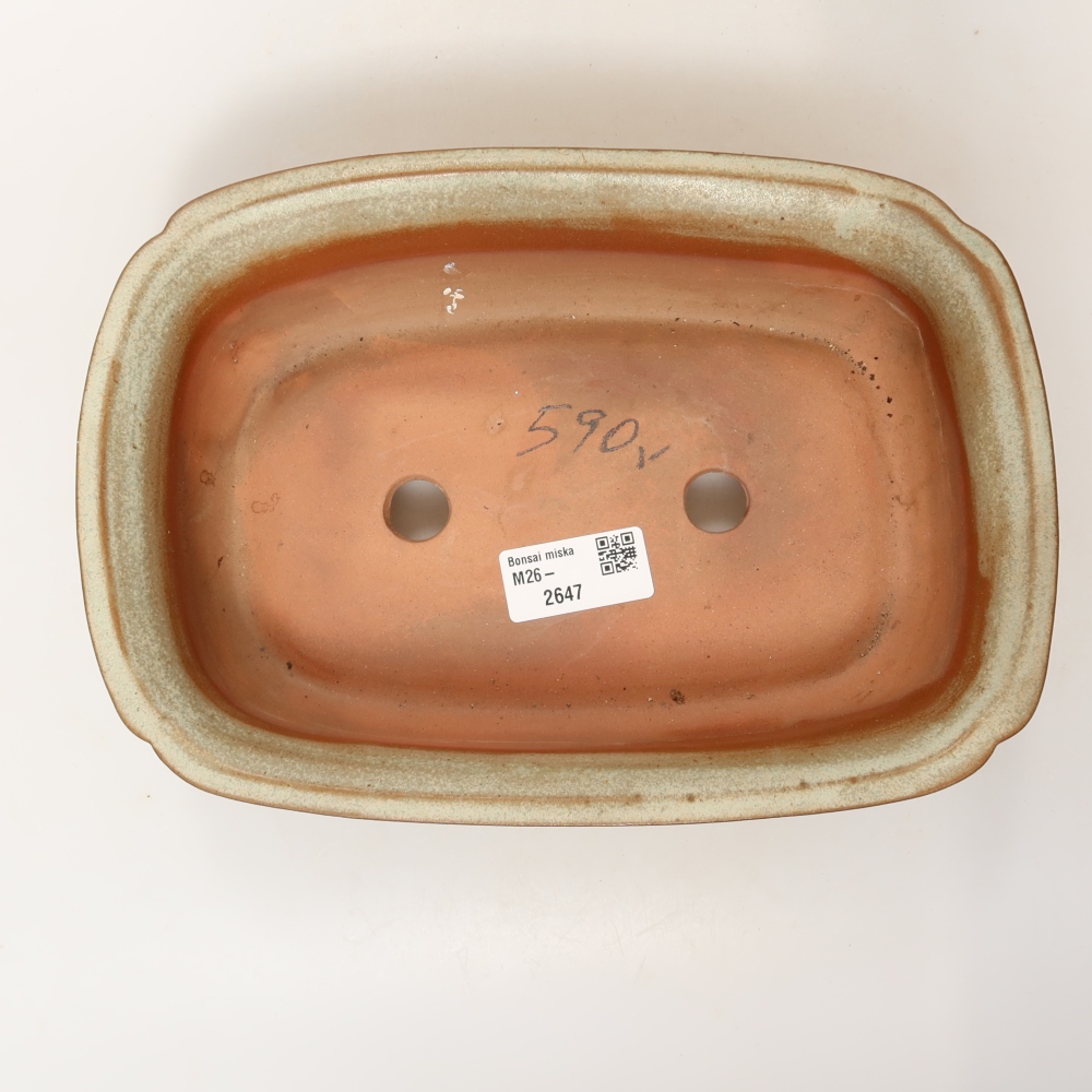 Ceramic Bowl  24.5 x 17.5 x 6 cm, beige