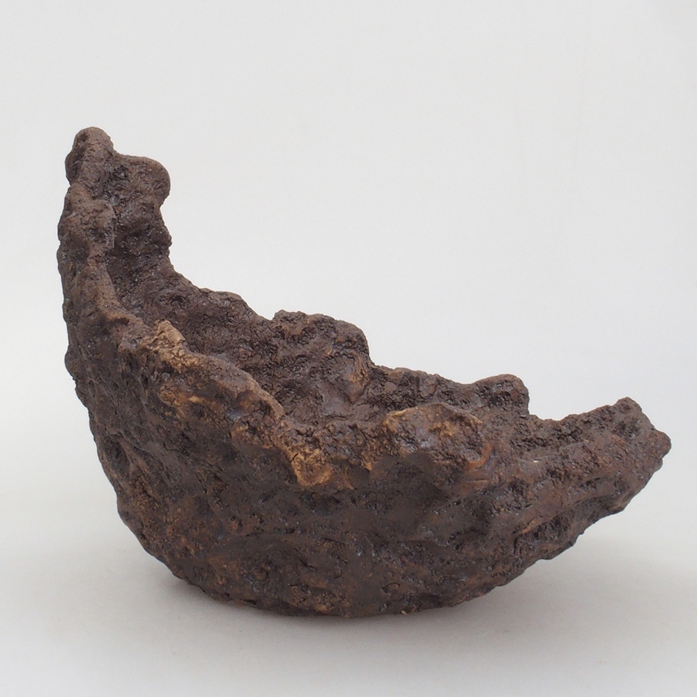 Ceramic shell 22 x 19 x 20 cm, brown color