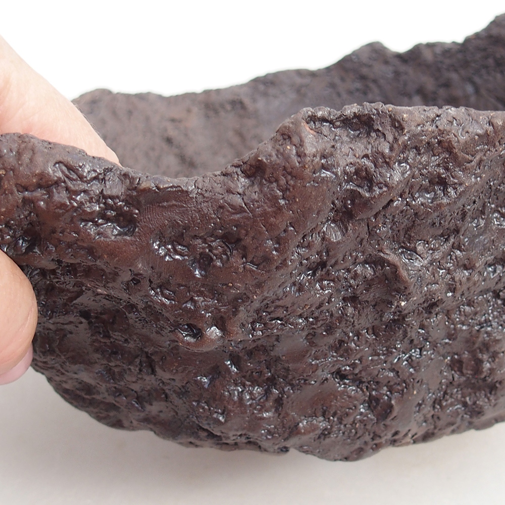 Ceramic shell 19 x 15 x 14 cm , colour brown