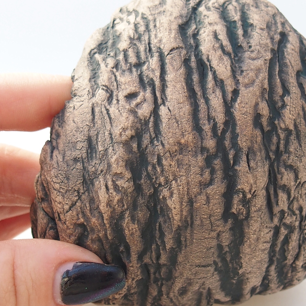 Ceramic Shell 10 x 9,5 x 10 cm , colour brown