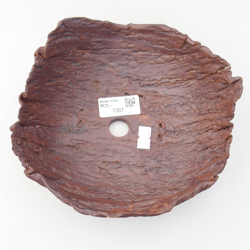 Ceramic Shell 20 x 17,5 x 7 cm , colour brown