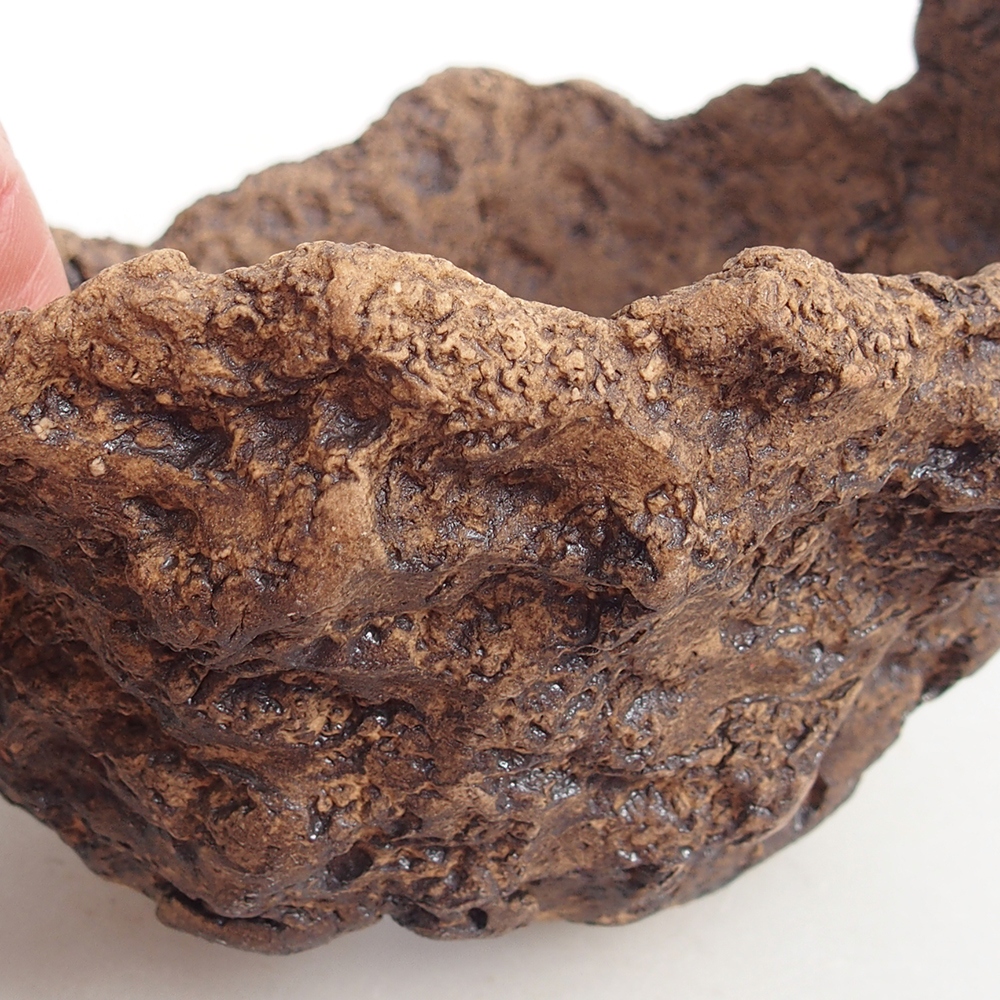 Ceramic Shell 13,5 x 12 x 11,5 cm , colour brown