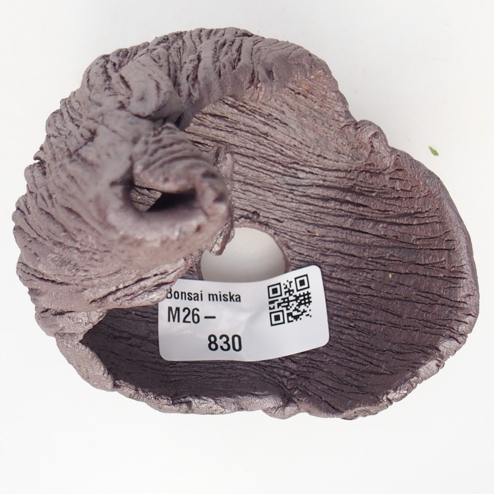 Ceramic Shell 8 x 9 x 12,5 cm , metallic colour