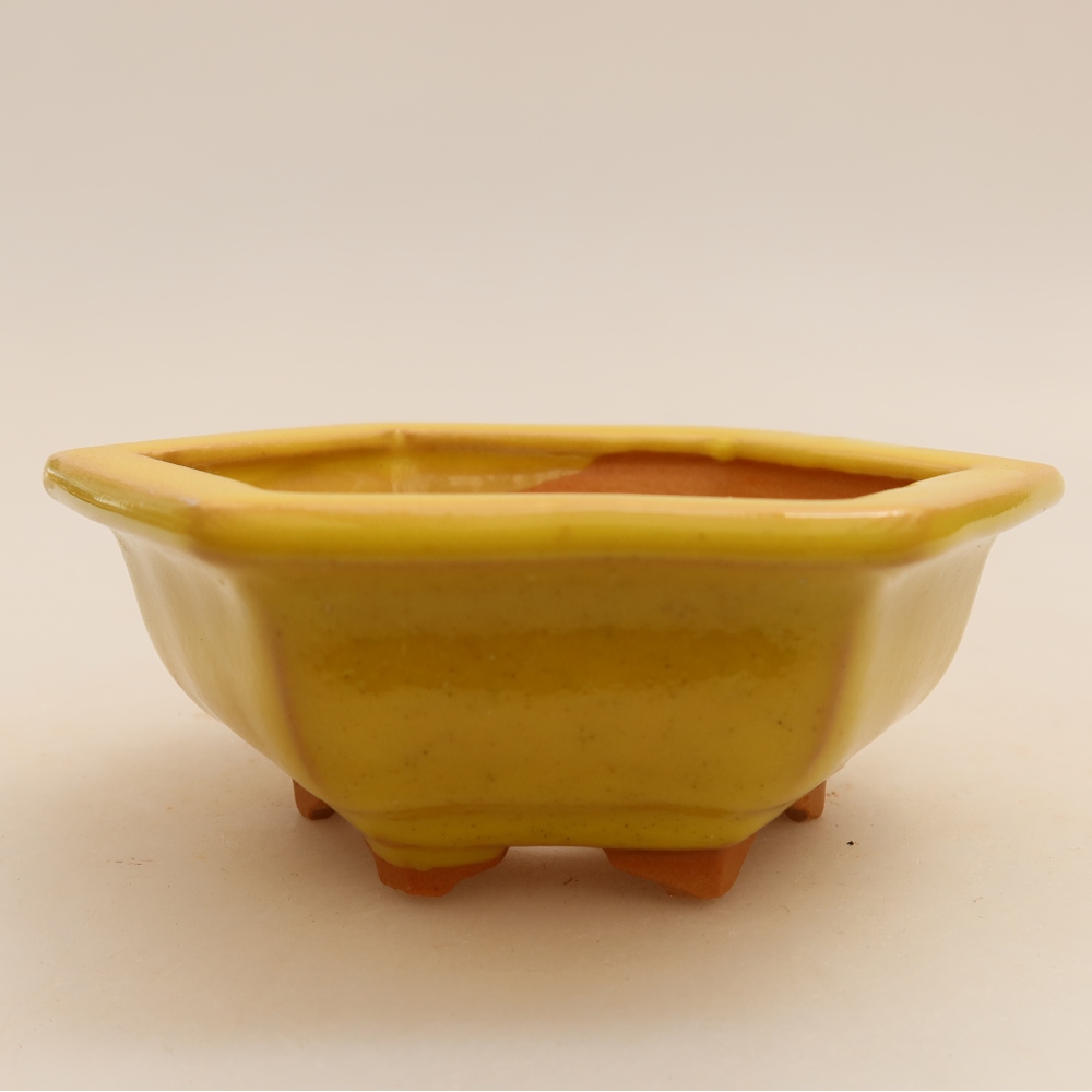 Ceramic bonsai pot, 12 x 10.5 x 4 cm, yellow