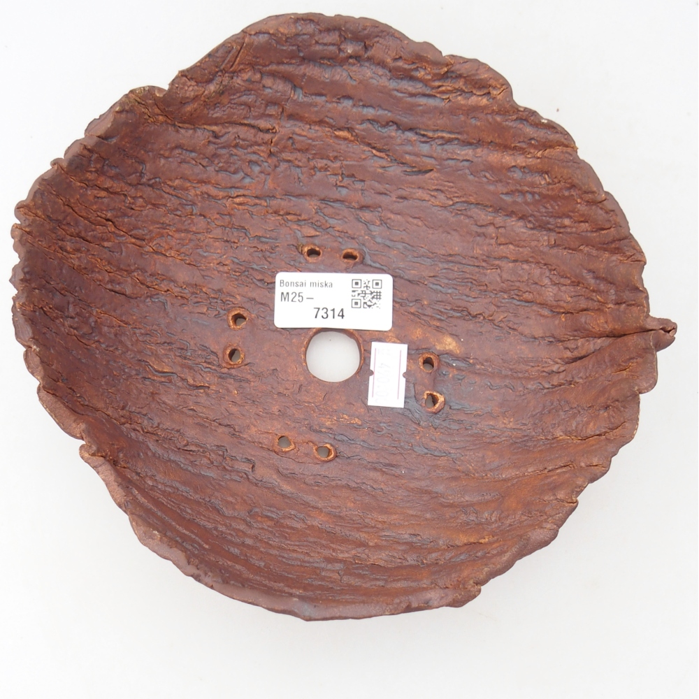 Ceramic Shell 19 x 19 x 6,5 cm , colour brown