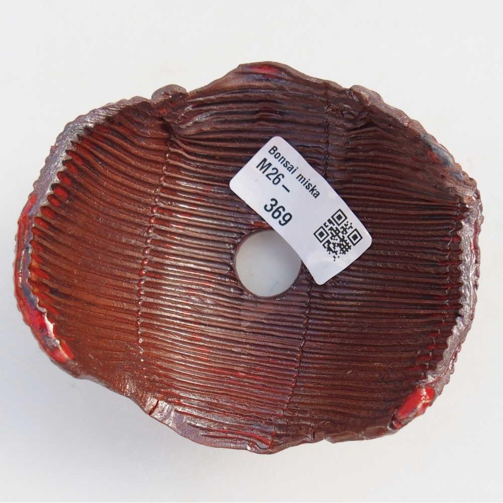 Ceramic Shell 10 x 10 x 6 cm , colour brown