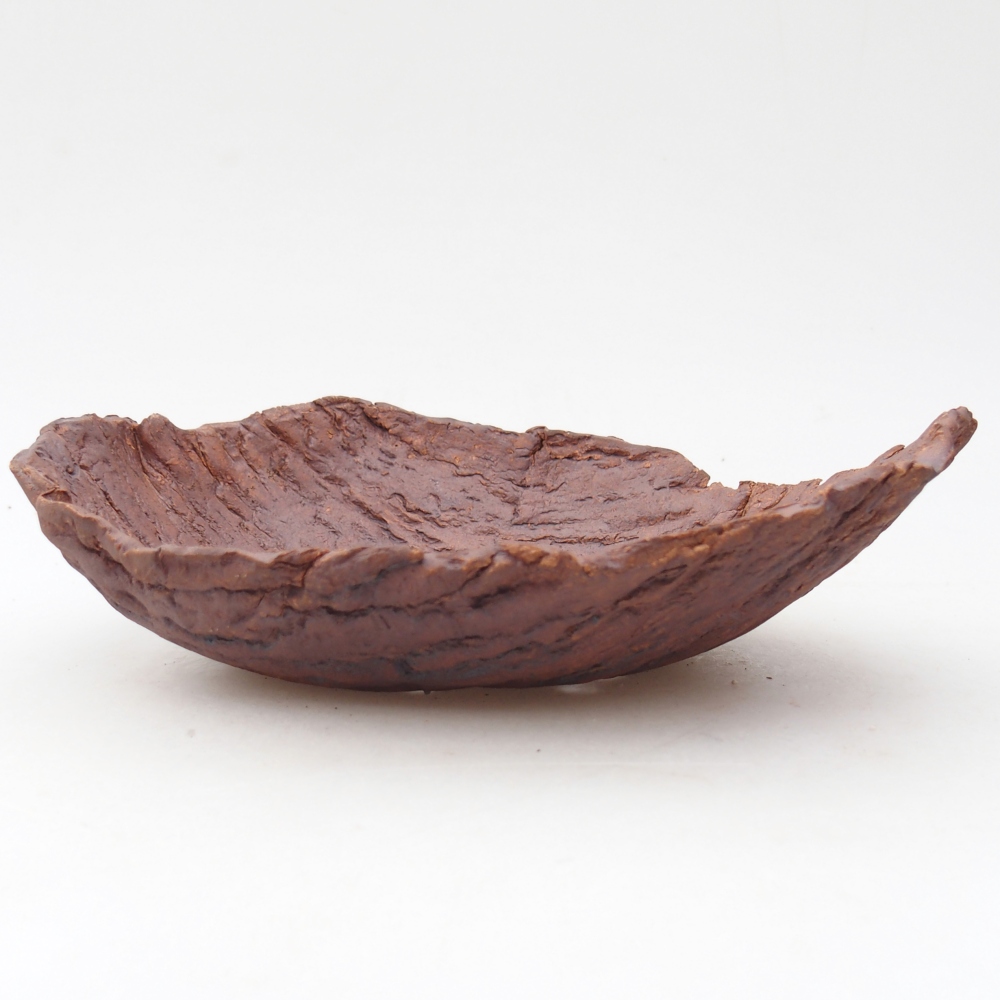 Ceramic shell 20 x 15 x 6 cm , colour brown