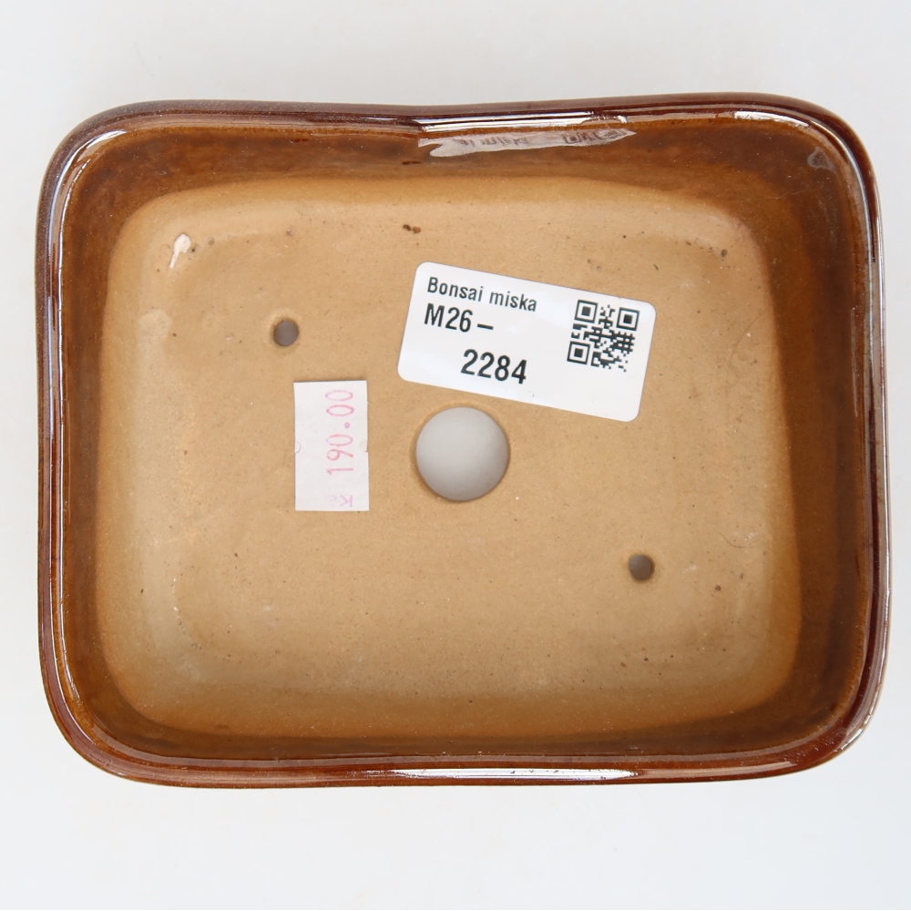 Ceramic bonsai pot, 12.5 x 9.5 x 4 cm, brown