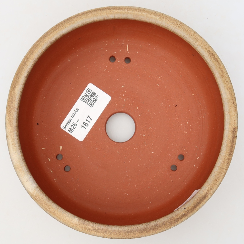Ceramic bonsai pot, 15.5 x 15.5 x 4.5 cm, brown