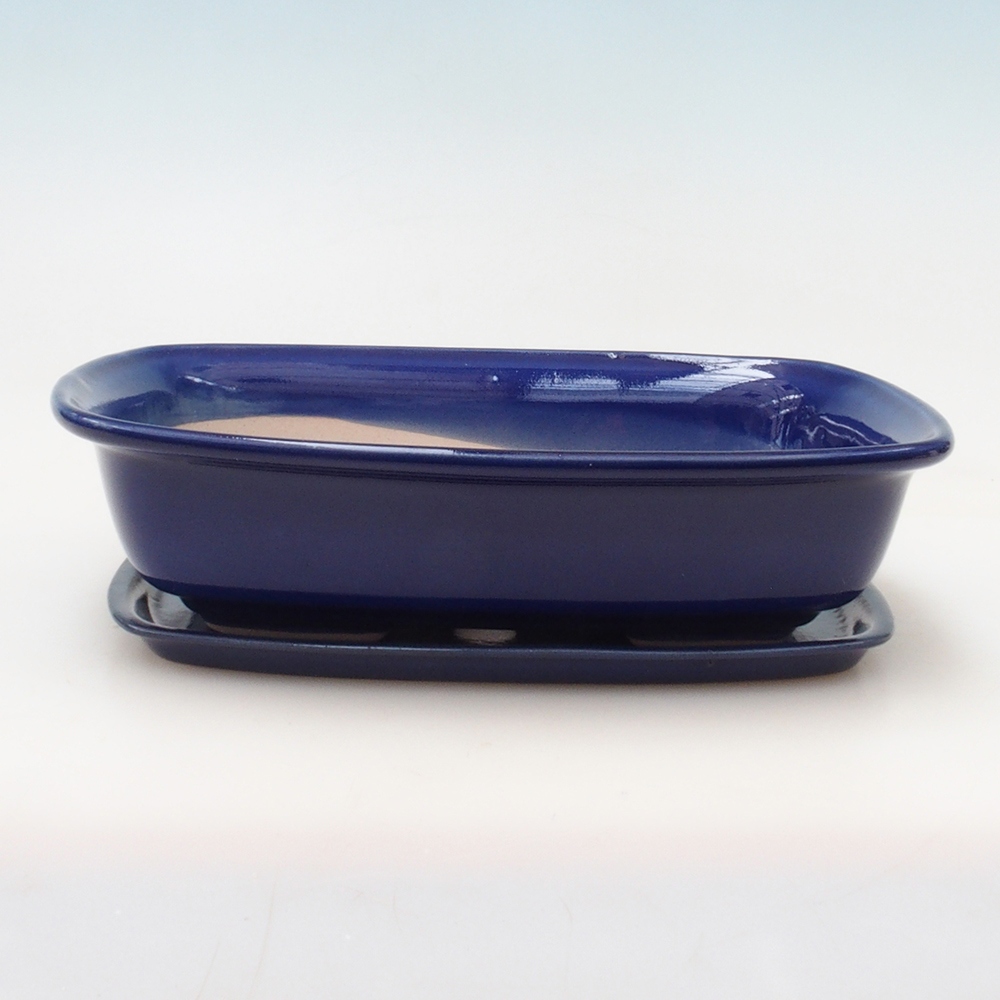 Bonsai pot + saucer H08 - 25 x 19.5 x 6 cm. - blue