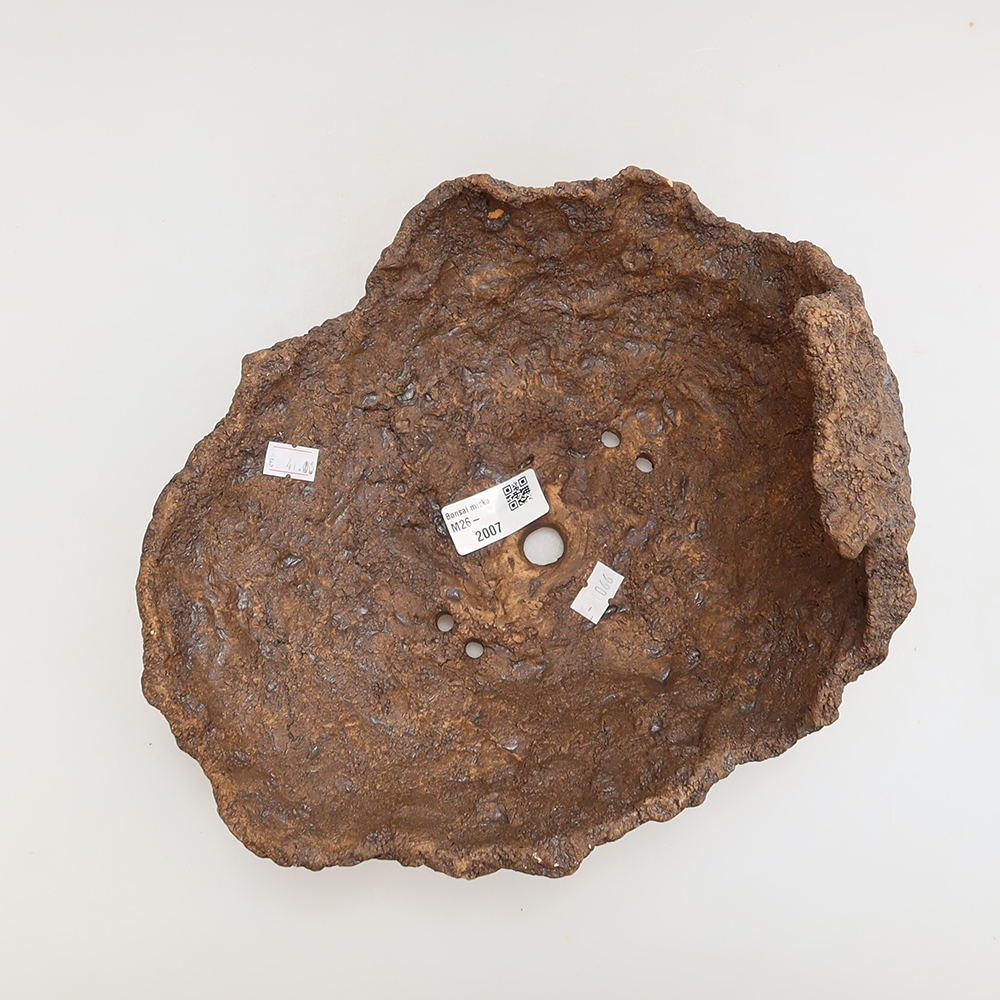 Ceramic Shell, 22 x 19 x 16.5 cm, brown