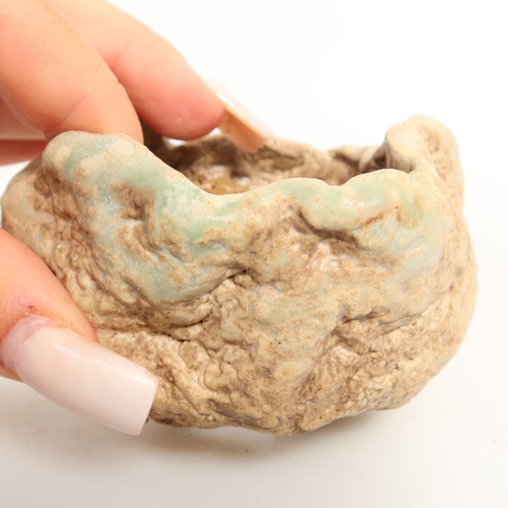 Ceramic Shell, 8 x 7 x 5.5 cm, green