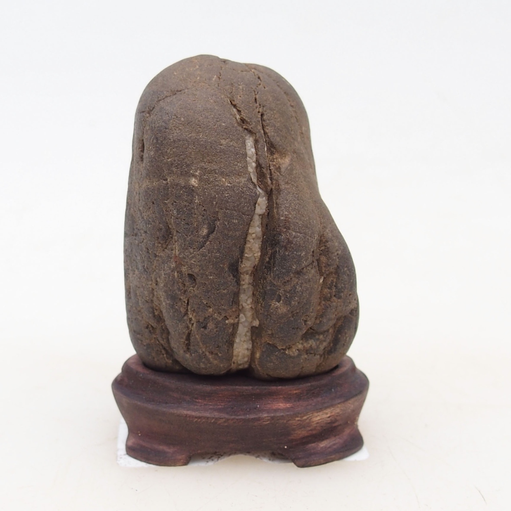 Suiseki - Stone with DAI (wooden pad)