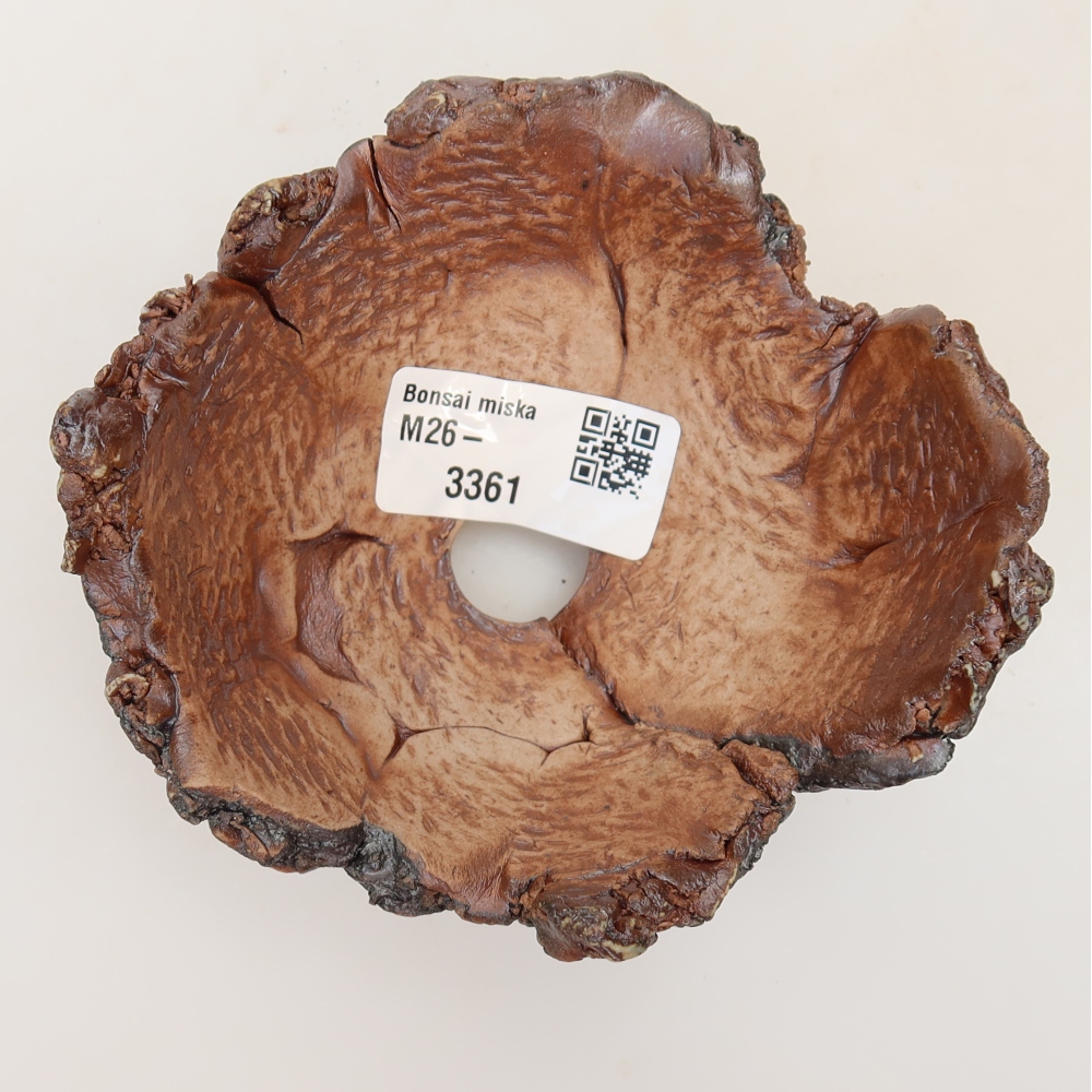 Ceramic Shell, 11 x 10.5 x 6 cm, brown