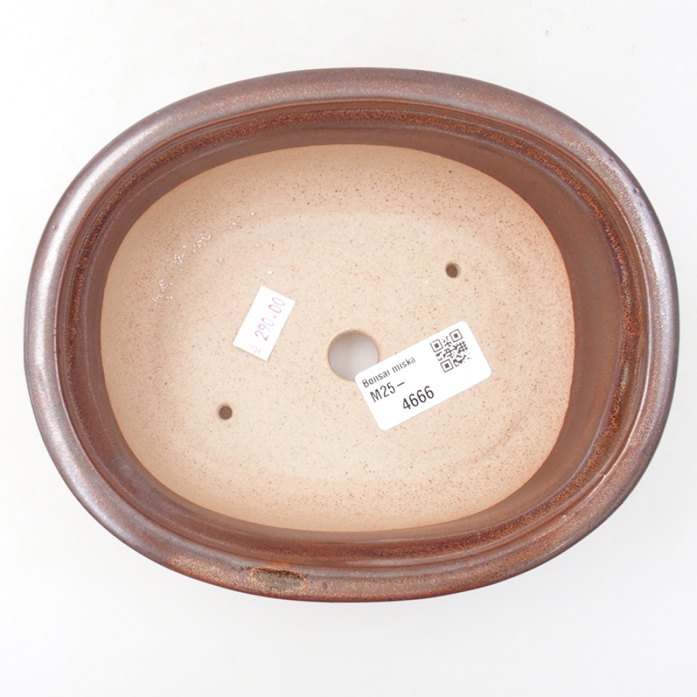 Ceramic bonsai bowl 18 x 14,5 x 6 cm, color brown