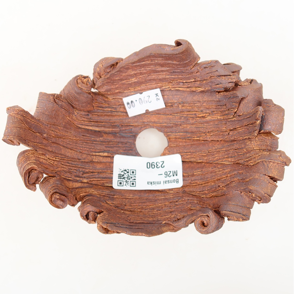 Ceramic Shell  13.5 x 10.5 x 7 cm, brown