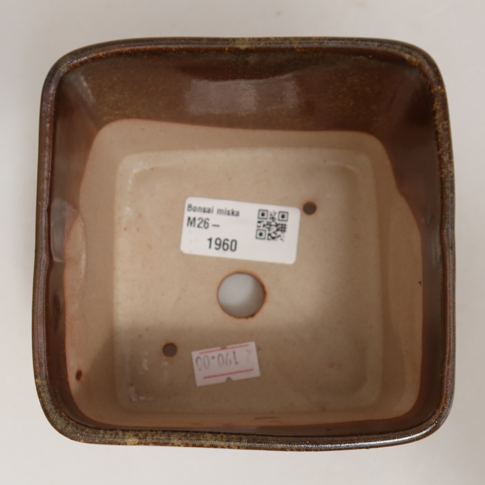 Ceramic bonsai pot, 10 x 10 x 8.5 cm, brown