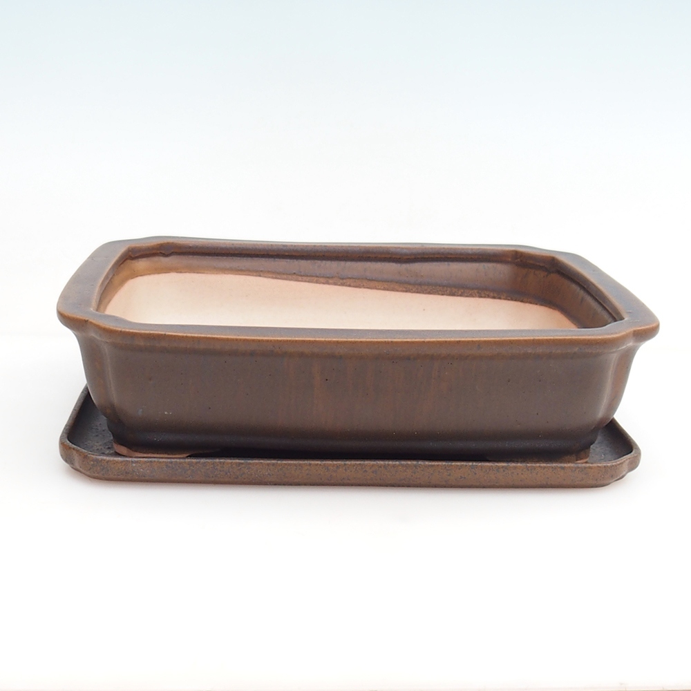 Bonsai bowl + saucer H20 - 26,5 x 21,5 x 6,5 cm. - brown