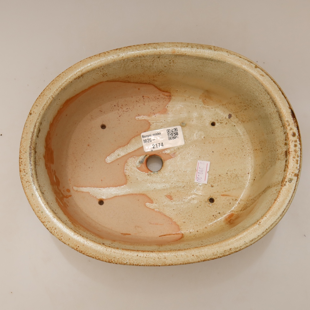 Ceramic bonsai pot, 23 x 19 x 8 cm, beige