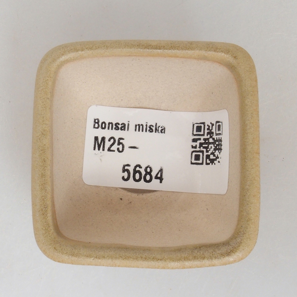 Mini bonsai bowl 4,5 x 4,5 x 3 cm, color brown